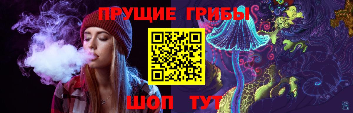 Канаш  Псилоцибиновые грибы Cubensis  Вход с VPN  Псилоцибиновые грибы мицелий 